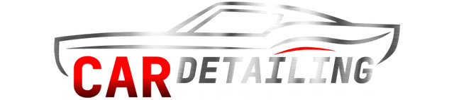 Логотип Car Detailing Simulator